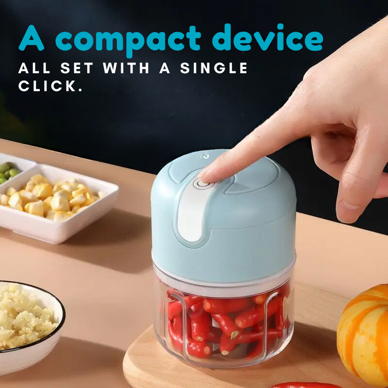 Mini garlic and spices grinder - Faciup